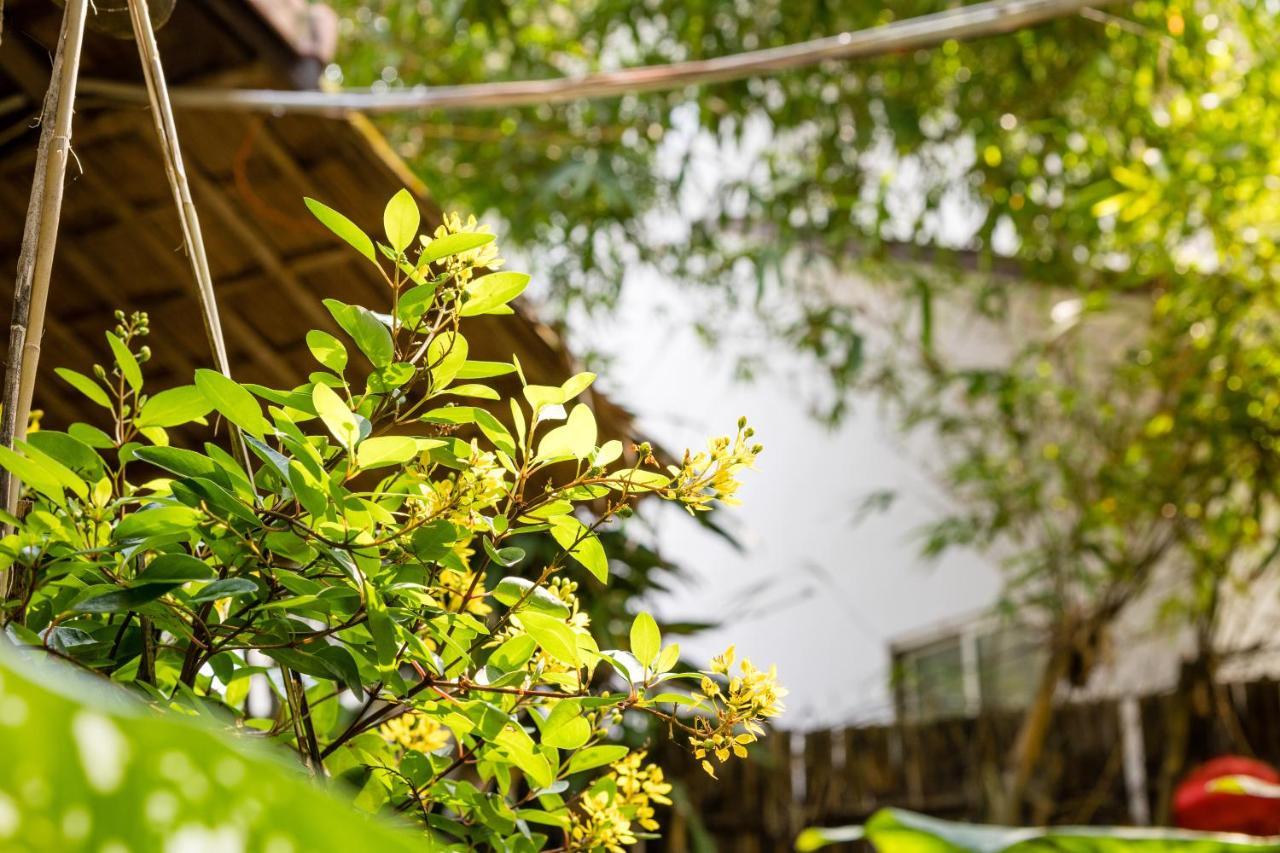 Under The Coconut Tree Hoi An Homestay Exterior photo
